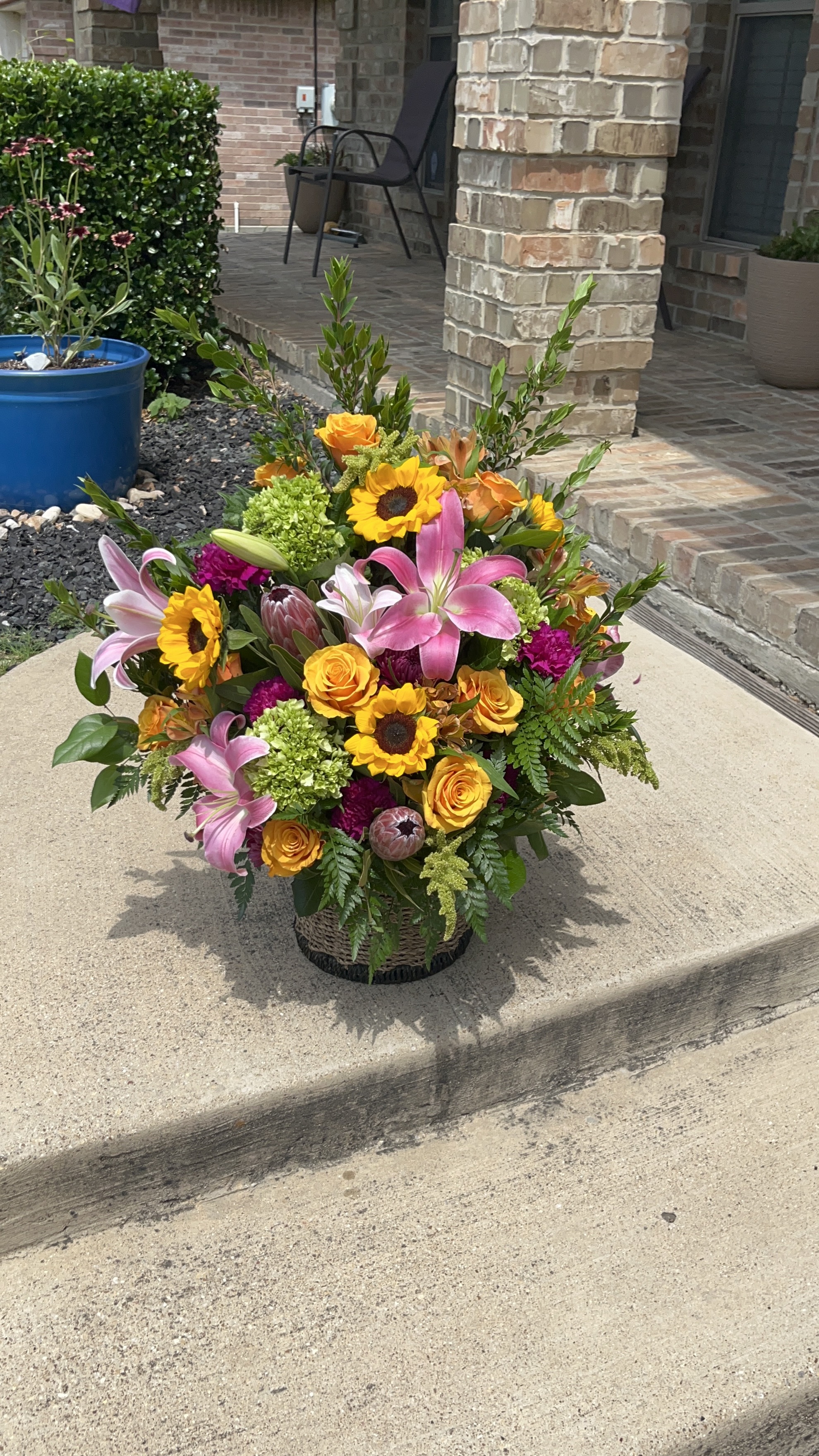 Blooms